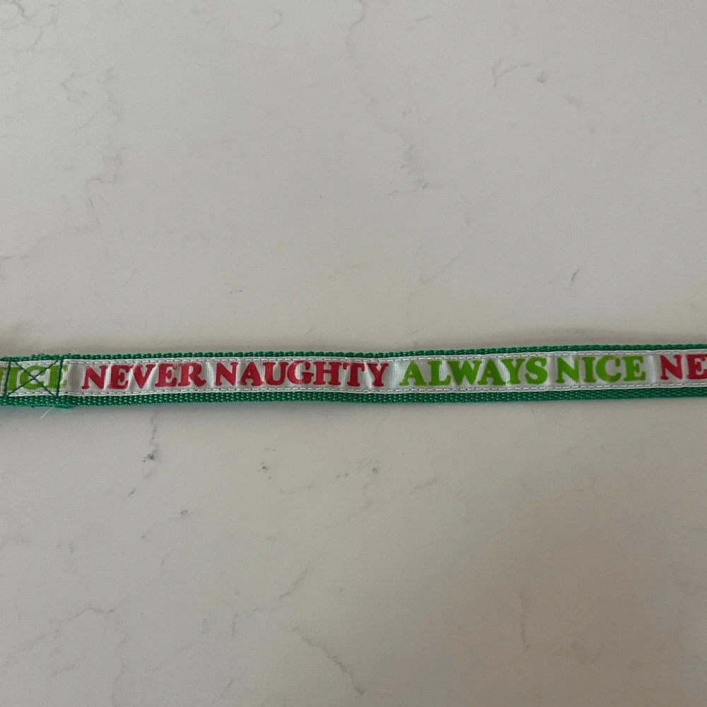 Never Naughty, Always Nice Dog Leash